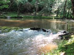 Crabtree Creek Company Mill Trail in Umstead State Park