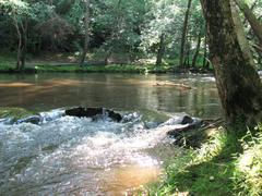 Crabtree Creek Company Mill Trail in Umstead State Park