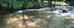 Crabtree Creek Company Mill Trail in Umstead State Park, North Carolina