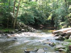 Crabtree Creek Company Mill Trail at Umstead State Park