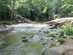 Crabtree Creek Company Mill Trail in Umstead State Park with lush greenery and a serene creek