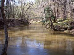 High water day on Company Mill Trail in Umstead State Park, NC