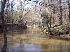 High water day on Company Mill Trail at Crabtree Creek, Umstead State Park