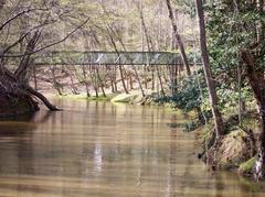 High water day on the Company Mill Trail in Umstead State Park