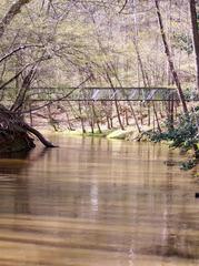 High water day on the Company Mill Trail