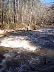 High water day on Company Mill Trail in Crabtree Creek, Umstead, NC