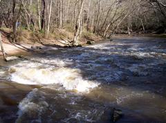 High water day on the Company Mill Trail at Umstead State Park