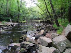 Crabtree Creek Mill Trail in Umstead State Park scenic view