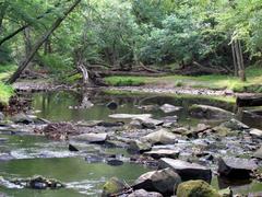 Crabtree Creek Mill Trail