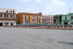 Agave garden in Plaza Garibaldi, Mexico City