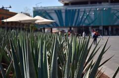 Plaza Garibaldi in Mexico City with the Museum of Tequila and Mezcal in the background