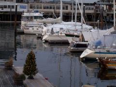 Boston Waterboat Marina at Long Wharf