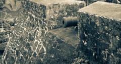 cannon in Fort San Pedro, Cebu City