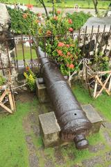 Canon at Fort San Pedro in Cebu