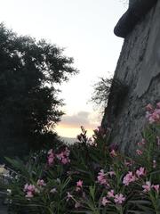 Sunset behind Palazzo dei Normanni in Palermo