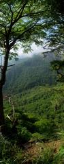 Barranca de Huentitlan in Jalisco with scenic view of canyon and natural landscape