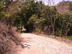 Scenic rural pathway in Camino A Las Huertas with lush greenery