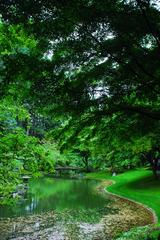 Pond under tree canopy at Nitobe Memorial Gardens