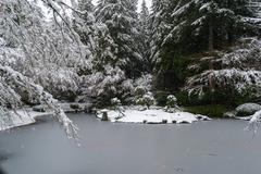 Nitobe Memorial Garden at the University of British Columbia