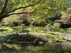 Nitobe Memorial Garden pond in April