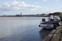 bustling Saturday market in Bordeaux with people walking and vendors selling goods