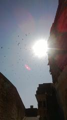 birds flocking at noon in winter at Mehrangarh Fort