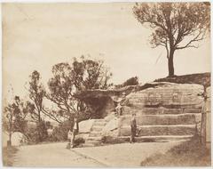 mrs macquarie's chair sydney messenger lad page-boy 1870-1875