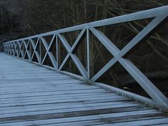 Footbridge at Hermitage of Braid crossing Braid Burn