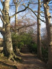 footpath at Hermitage of Braid