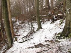 Footpath through steep terrain at Hermitage of Braid