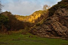 Agassiz Rock in a forested area