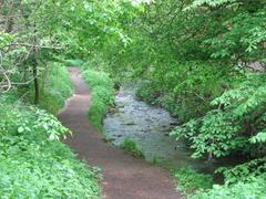 Braid Burn stream in Hermitage park