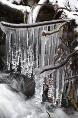 Hermitage in Winter