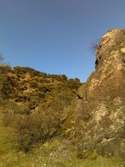 Abandoned quarry on the side of Blackford Hill