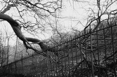 Edinburgh railings and fences in Hermitage