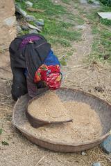 A woman winnowing near Lohajung, Uttarakhand, with mountains in the background