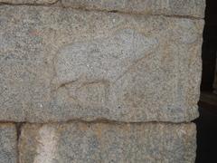 Vijayanagara royal symbol on Chandragiri Fort wall