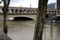 2018 Seine river flood at Paris - Bridge of Bercy