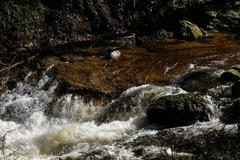 Geroldsauer Waterfall after prolonged rain on March 13, 2020