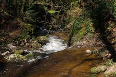 Geroldsauer Waterfall after prolonged rainfall in March 2020