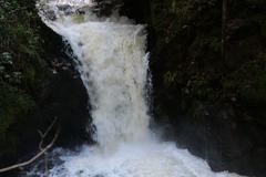 Geroldsauer Waterfall after heavy rain on March 13, 2020