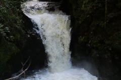 Geroldsau Waterfall after prolonged rainfall on March 13, 2020