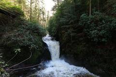 Geroldsau waterfall after heavy rainfall