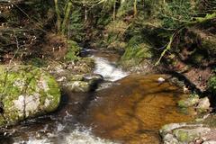 Geroldsauer Waterfall after heavy rain on March 13, 2020