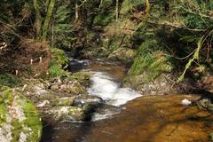 Geroldsau Waterfall after heavy rains on March 13, 2020