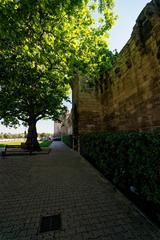 Avignon Boulevard de l'Oulle View NNE along 14th century City Walls