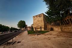 Avignon Boulevard de l'Oulle 14th century City Walls