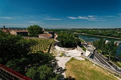 Panoramic view of Avignon's ramparts, Pont Saint-Bénézet, and Rhône valley from Jardin des Doms