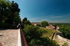 Panoramic view of Avignon's ramparts, Pont Saint-Bénézet, and Rhône valley