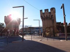 Panoramic view of Avignon with the Rhône River